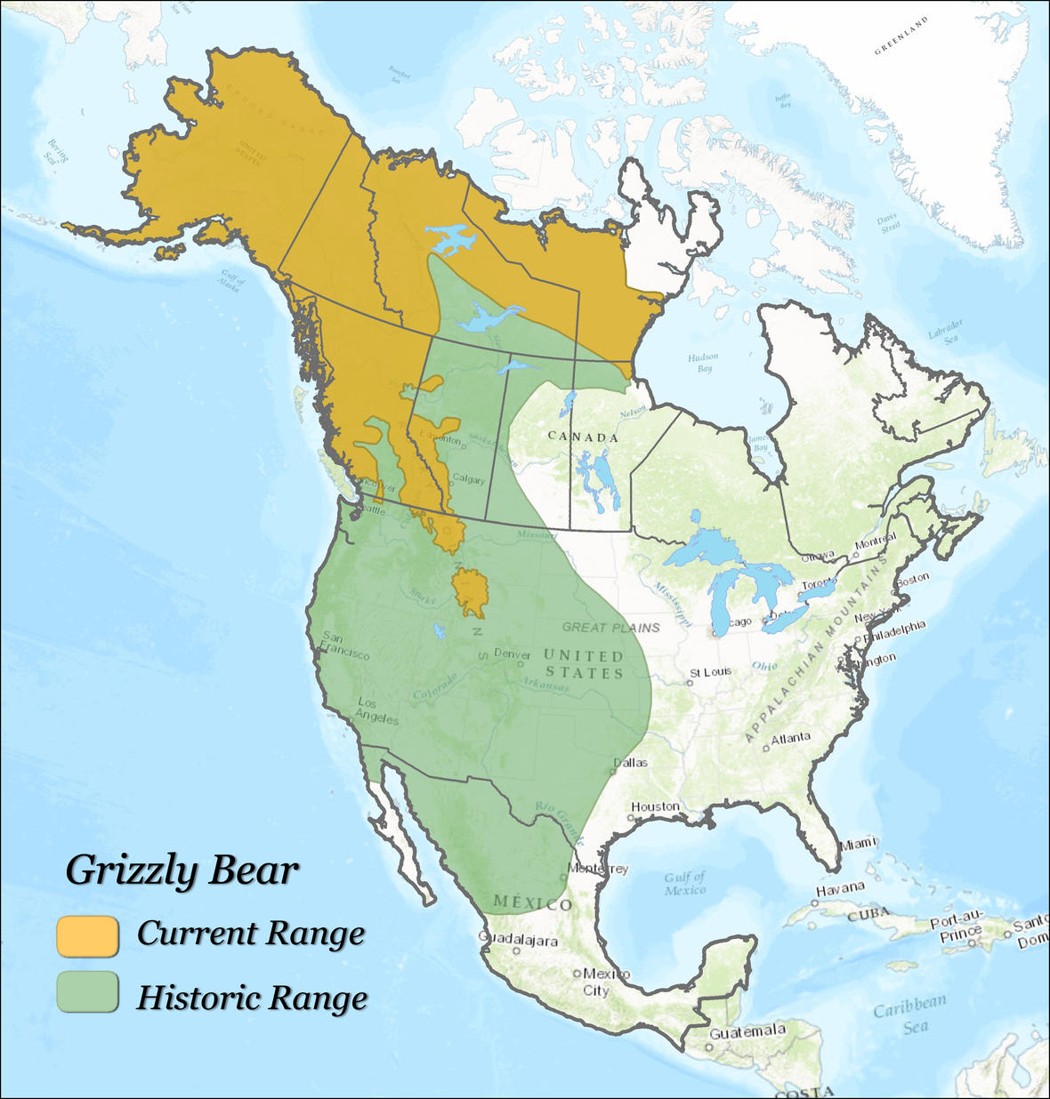 Historic and Current Grizzly Bear Range